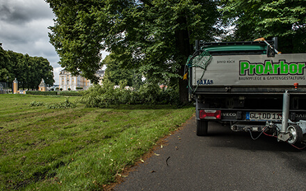 Gartengestaltung