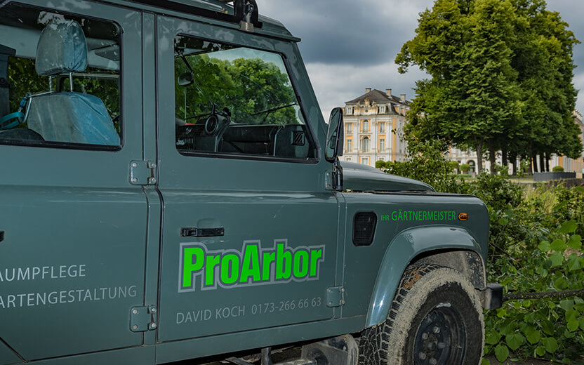 ProArbor Impressionen